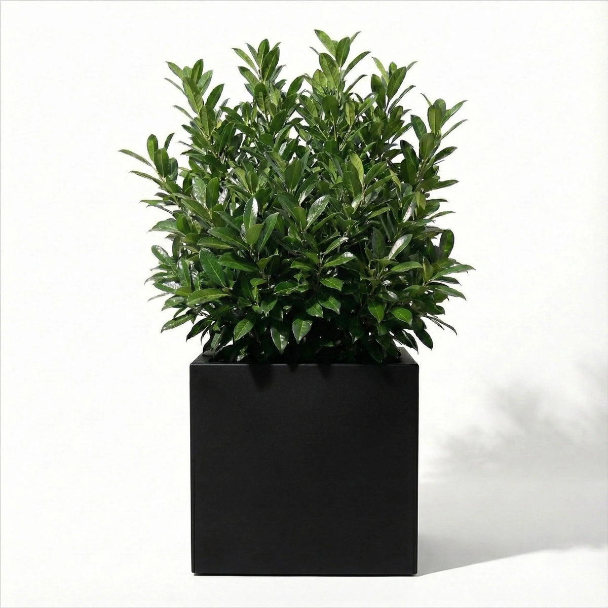 Square Planter Fiberglass UV-Resistant with Drainage