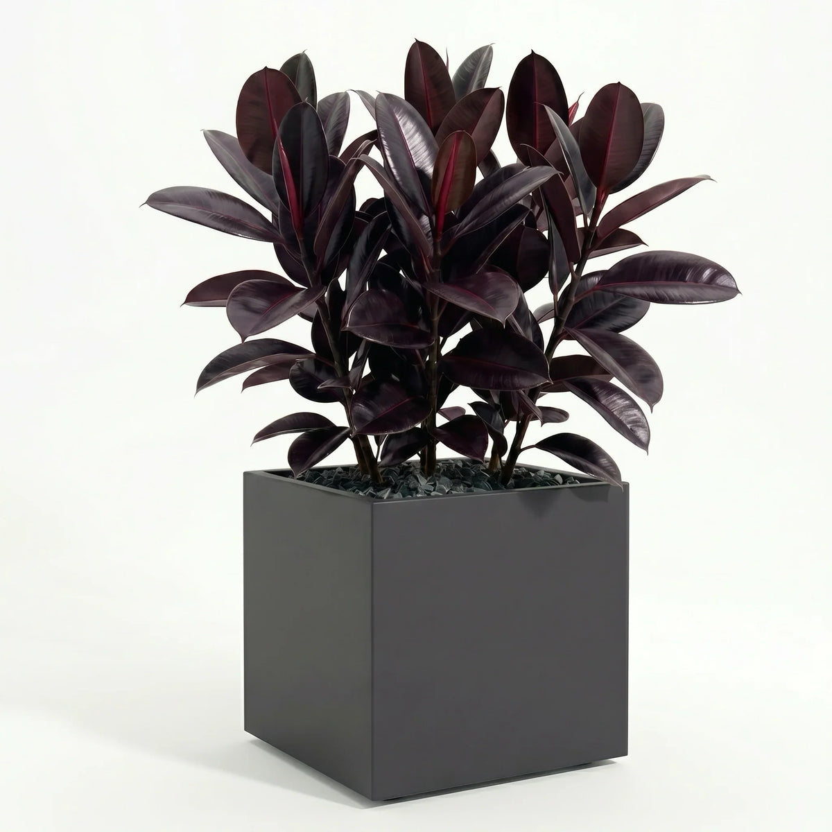 Square Planter Fiberglass UV-Resistant with Drainage