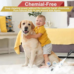 Steam Cleaner 2500W High-Pressure Chemical-Free Cleaning with Nozzle Attachments