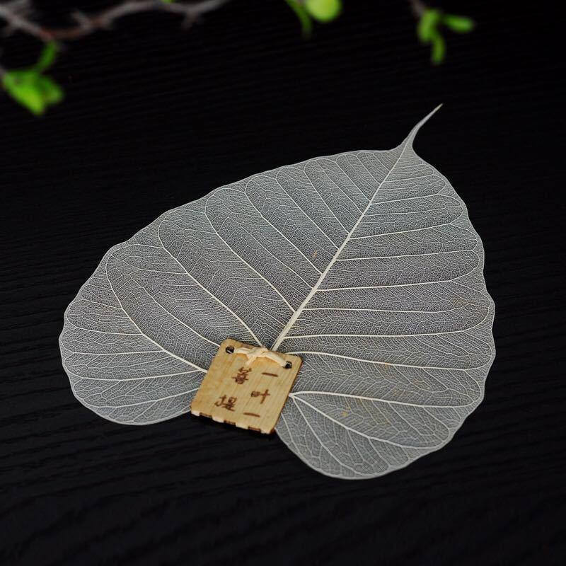 Tea Filter Natural Bodhi Leaf Quick Flow