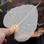 Tea Filter Natural Bodhi Leaf Quick Flow