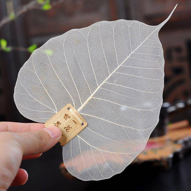 Tea Filter Natural Bodhi Leaf Quick Flow