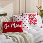 Throw Pillow Cover Tufted Chenille & Tassels Machine Washable