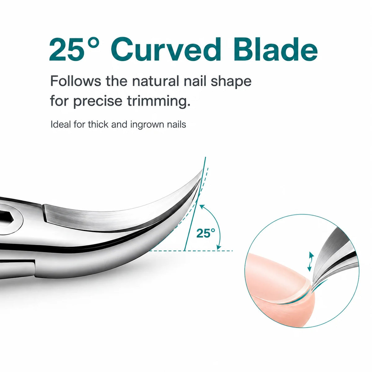 Toenail Clippers Curved Stainless Steel Spring-Assisted Clipping Guard