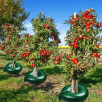 Tree Watering System Deep-Root Drip Water-Repellent Fabric