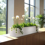 Trough Planter Brushed Aluminum 36 Inch Indoor Outdoor Drainage Holes