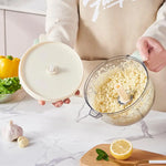 Vegetable Chopper Manual Compact Stainless Steel