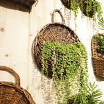 Wall Planter Handwoven Natural Rattan Hanging Design