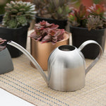 Watering Can Stainless Steel Precision Pouring Spout