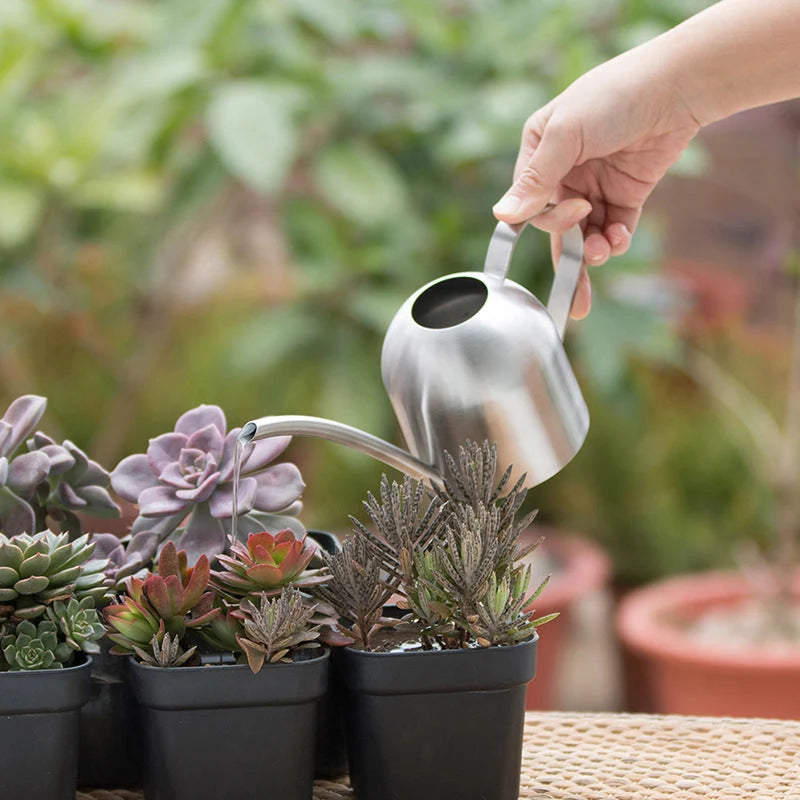 Watering Can Stainless Steel Precision Pouring Spout