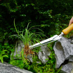 Weed Puller 5-in-1 Stainless Steel Head Beech Wood Handle
