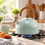 Whistling Kettle Stainless Steel Stovetop 2.64 Qt