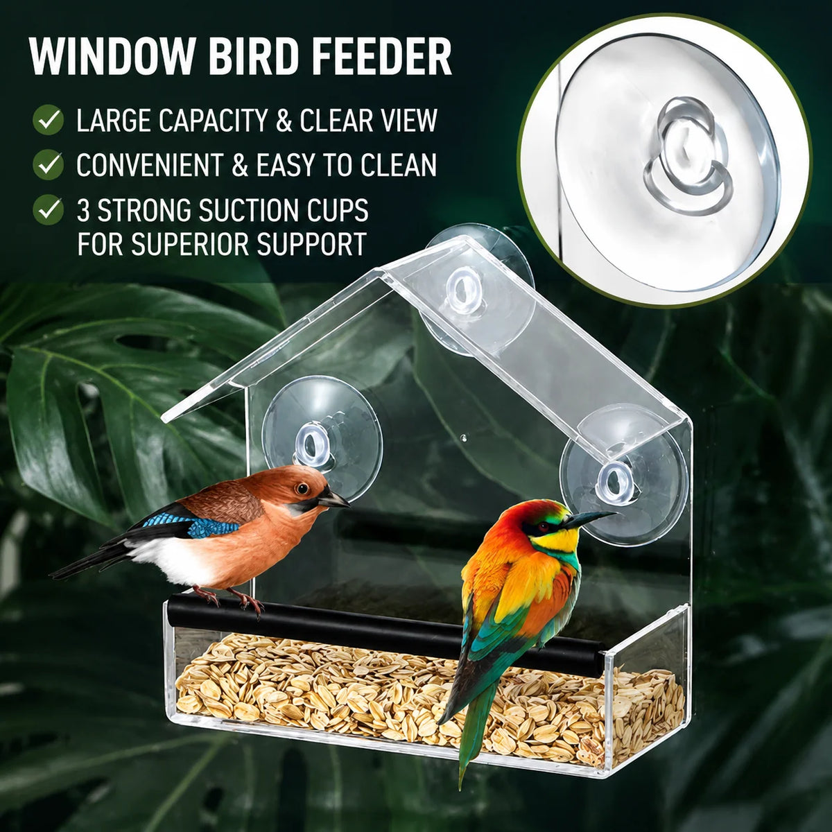 Window Bird Feeder Clear Suction Cup Mount