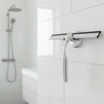 Window & Shower Squeegee Stainless Steel No-Drill Suction Hook