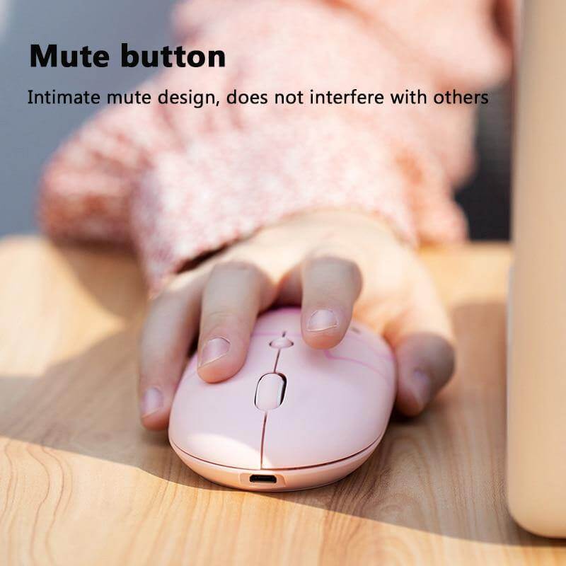 Wireless Mouse Cartoon Animal Silent Rechargeable USB-C