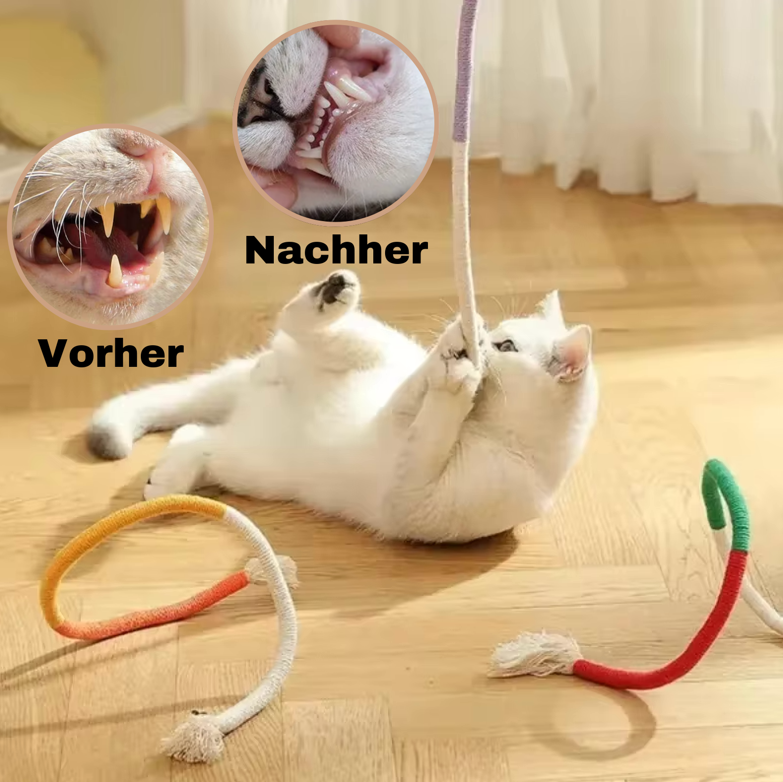 Zahnpflege-Spielzeug für Katzen