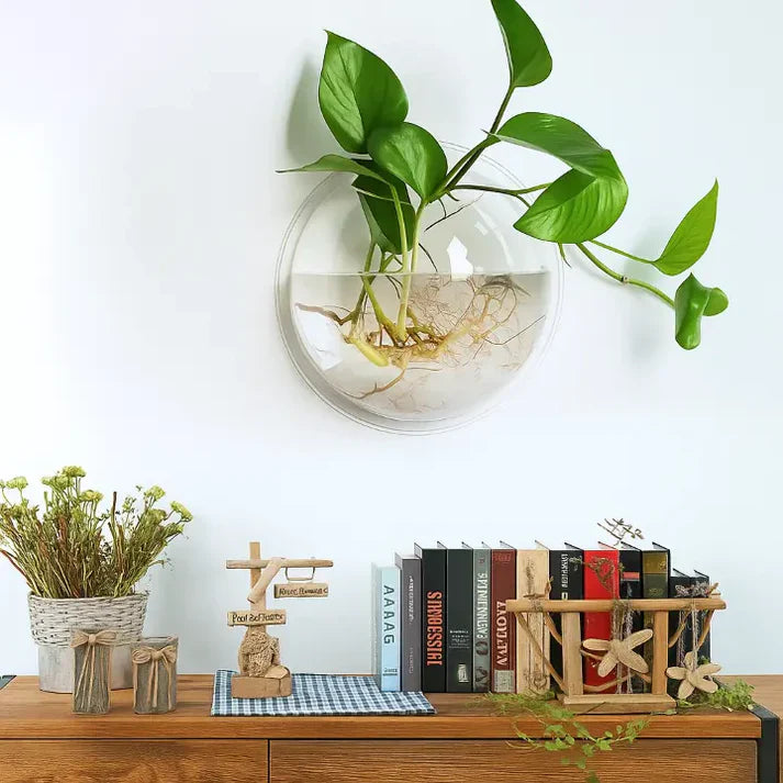 Wandpflanzenhalter ohne Bohren – Vertikaler Garten & Dekorative Blumenschale