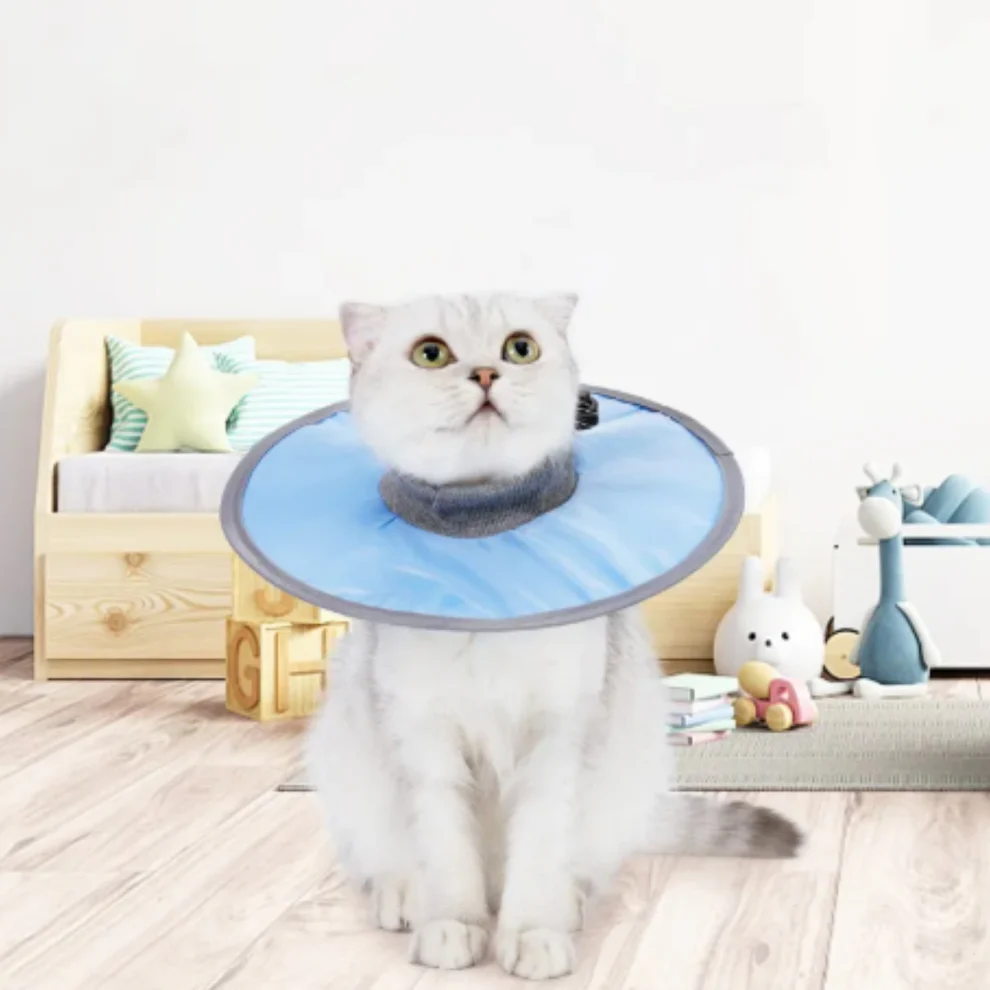 Bequemer und weicher Schutzkragen für Katzen