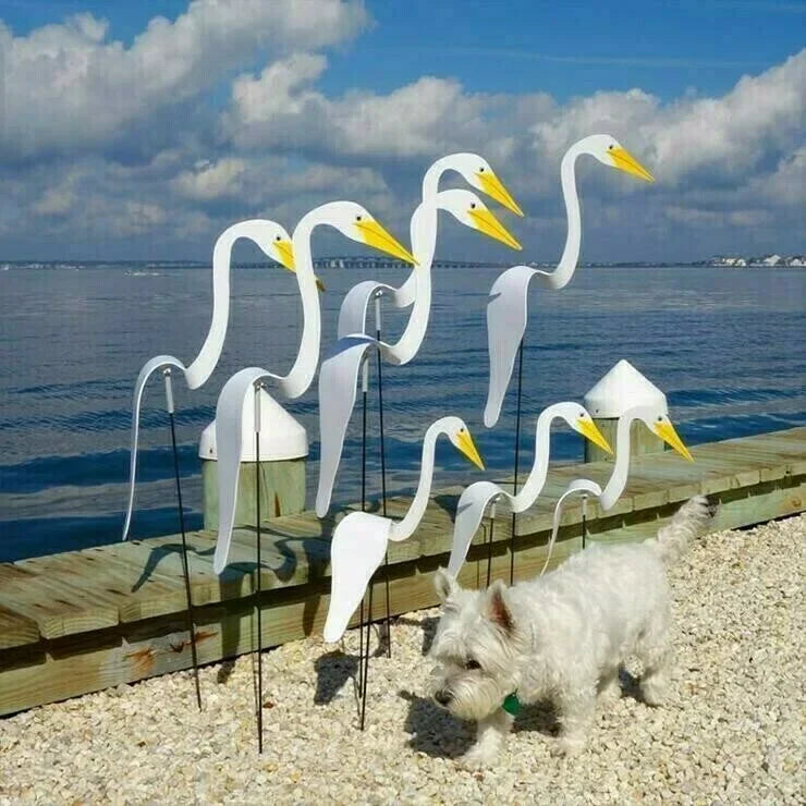 WhirlWing - Floating Metal Birds for Your Garden