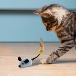 WhisMous | Playful Mouse with Remote Control