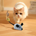 WhisMous | Playful Mouse with Remote Control