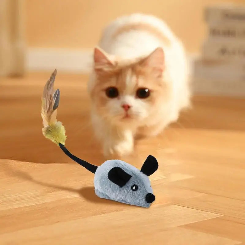 WhisMous | Playful Mouse with Remote Control