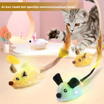 WhisMous | Playful Mouse with Remote Control