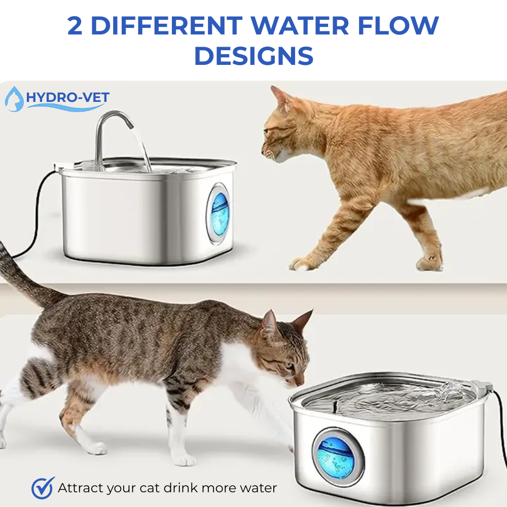 AquaSoft Trinkbrunnen für Haustiere – 3,2L, Edelstahl, LED & 5-stufige Filterung