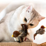 FelineKraft™ — Entfesseln Sie den Jagdinstinkt Ihrer Katze