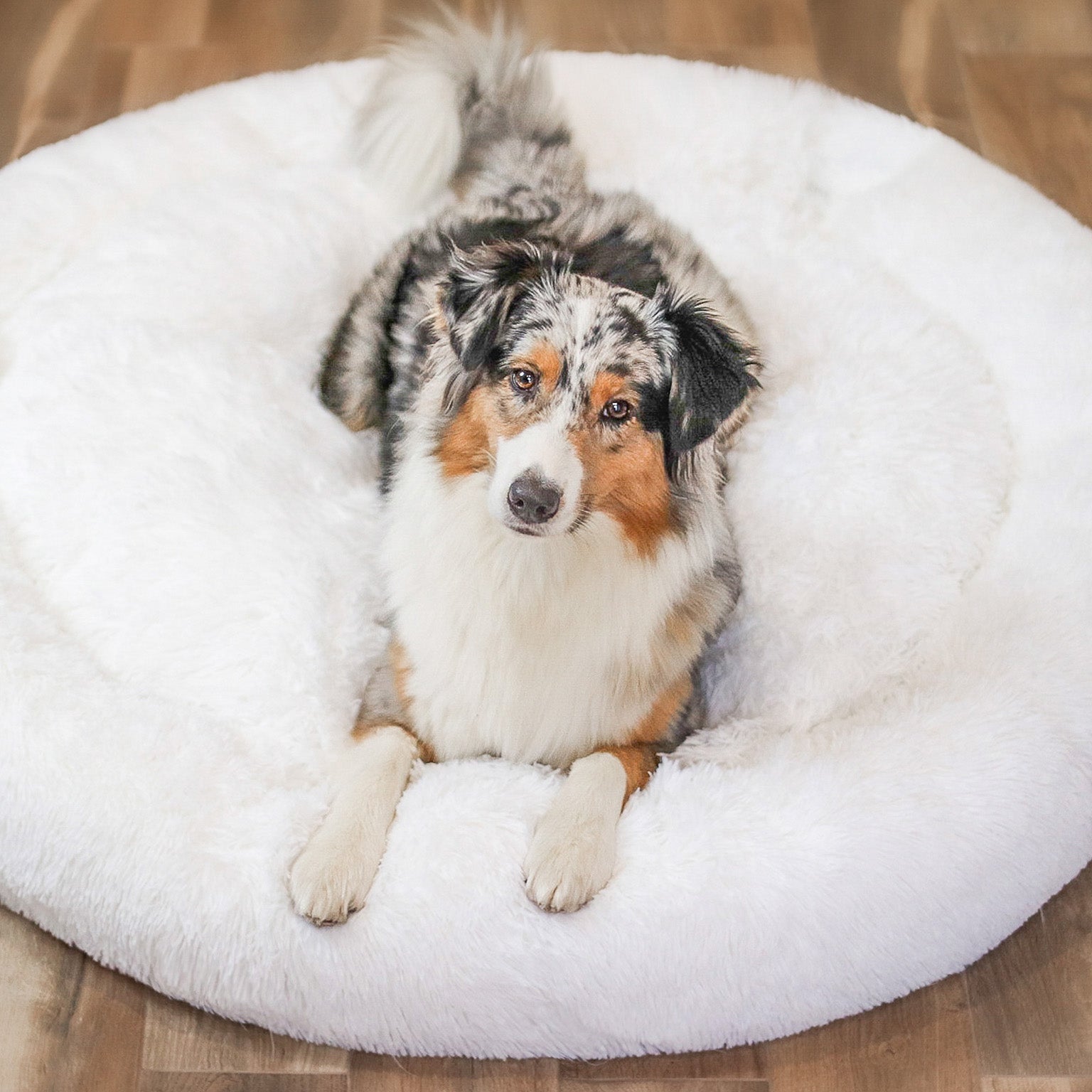 FluffyNest Komfort Hundebett – Orthopädisches Plüschschlafkissen für Hunde