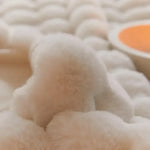 Cozy Blanket | Ultra-Soft, Warm & Stylish | For All Seasons