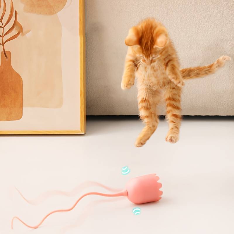 ZephPaws | Active Playtime for Happy Cats