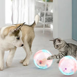 ZoomZing | Interactive Pet Play Ball
