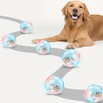 ZoomZing | Interactive Pet Play Ball