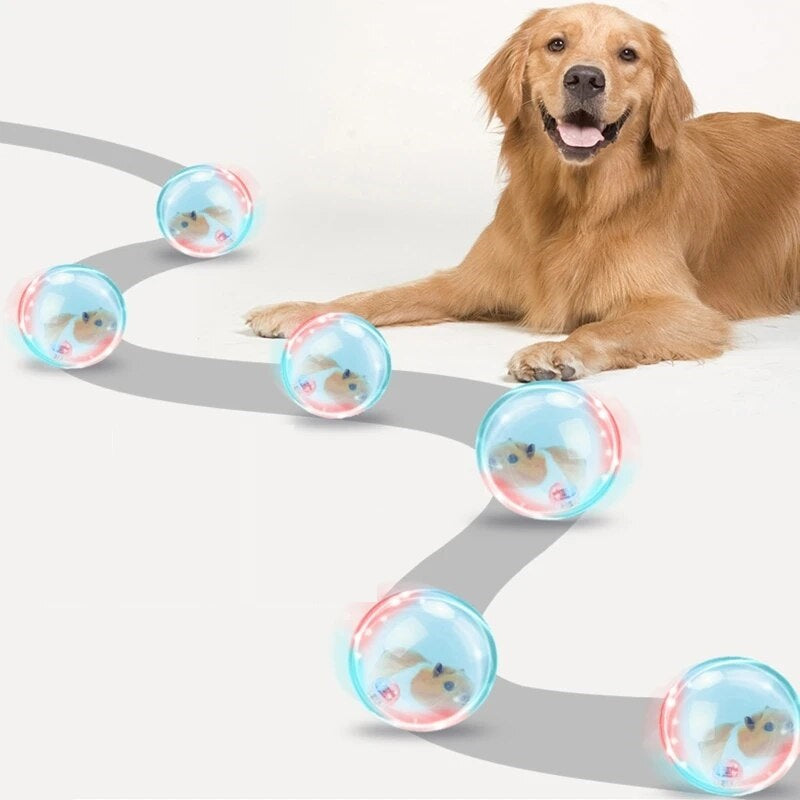 ZoomZing | Interactive Pet Play Ball