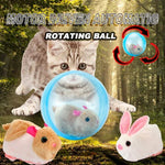 ZoomZing | Interactive Pet Play Ball