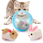 ZoomZing | Interactive Pet Play Ball