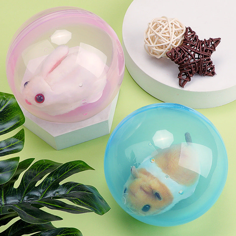 ZoomZing | Interactive Pet Play Ball