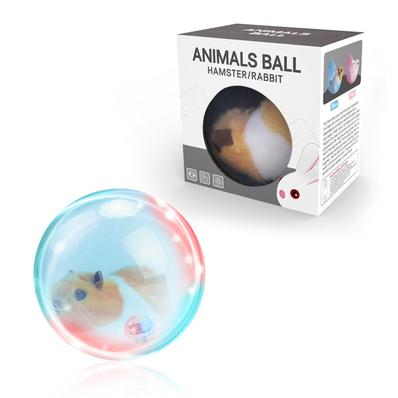 ZoomZing | Interactive Pet Play Ball