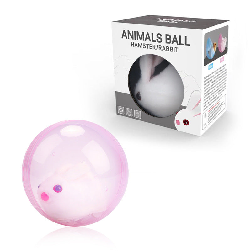 ZoomZing | Interactive Pet Play Ball