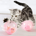ZoomZing | Interactive Pet Play Ball