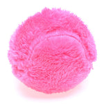 ZoomieBall™ | Play and Activity for Your Pet