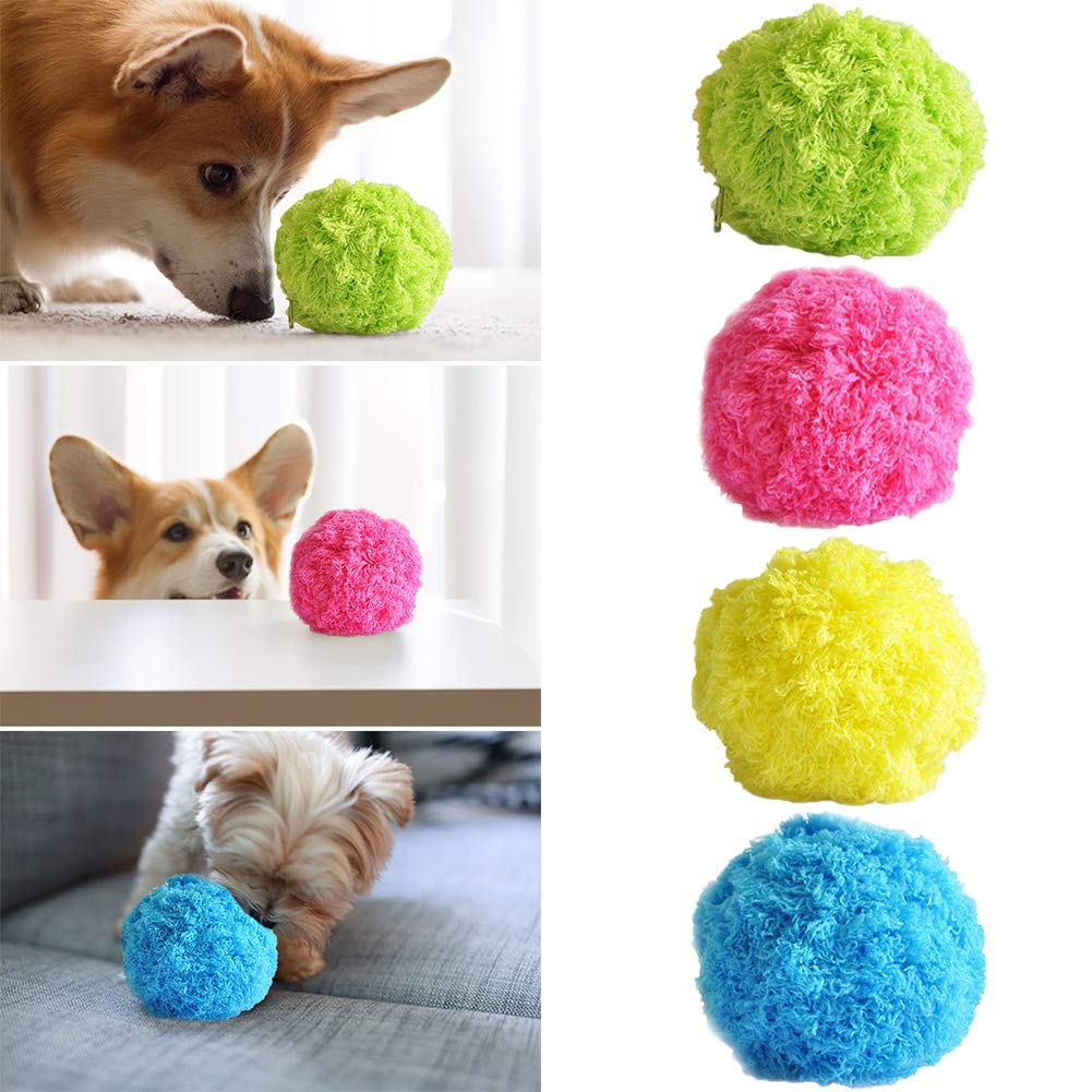 ZoomieBall™ | Play and Activity for Your Pet