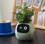 EmojiPot | Playful Flower Pot for Any Room