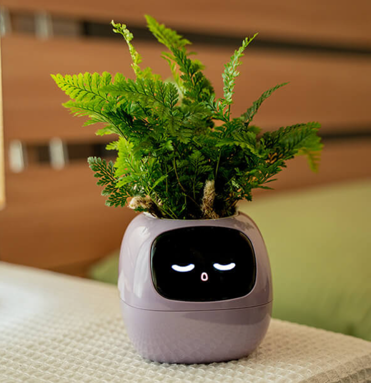 EmojiPot | Playful Flower Pot for Any Room