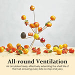 Floating Fruit Bowl: Stylish Design for Your Kitchen