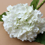 Eternal Floral Splendor - Maintenance-Free Artificial Flowers for Every Room