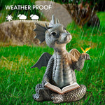 Enchanting Reading Dragon for Garden & Home