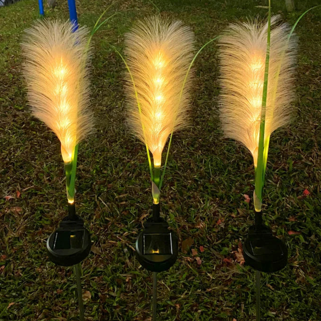 Elegante Solar-Faserlichter für Ihren Garten