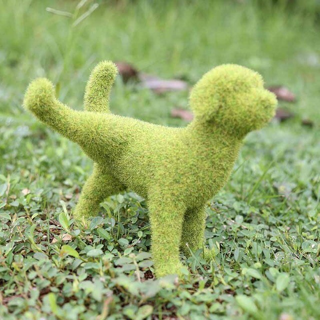 Vibrant Garden Decor - Transform Your Outdoor Space!